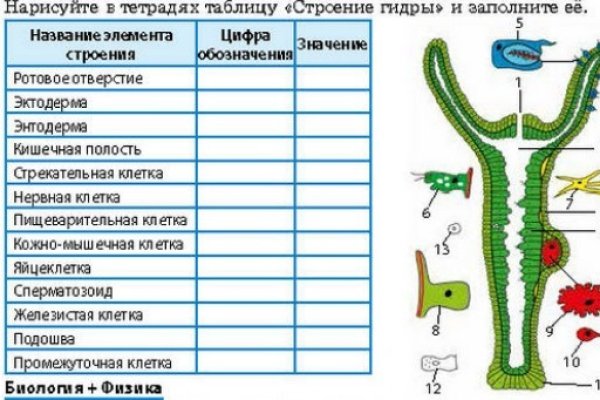 Ссылка на сайт гидра в тор браузере