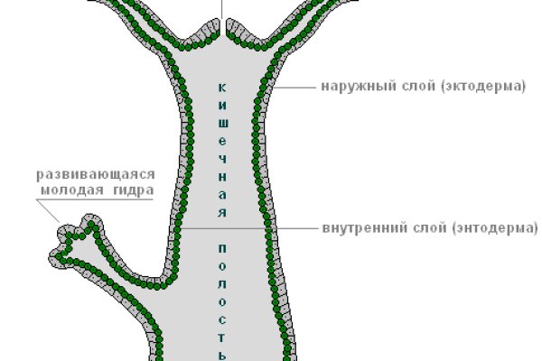 Кракен ссылка официальная