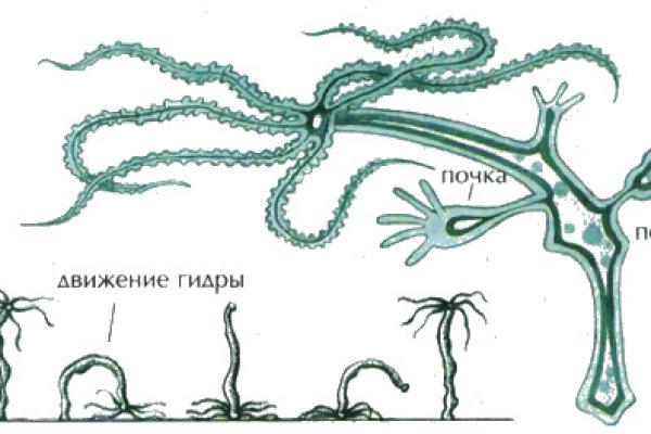 Кракен рабочая ссылка на сайт