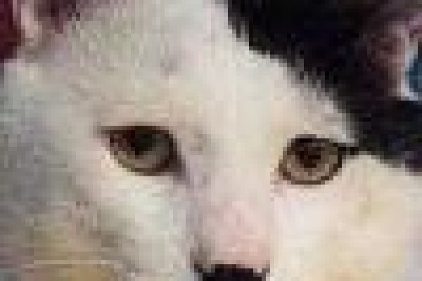 Кракен сайт что это