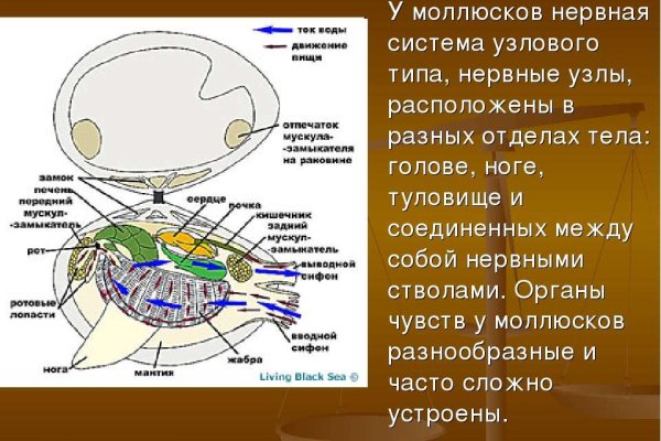 Кракен магазин kraken014 com