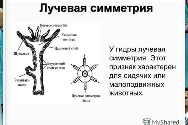 Кракен сайт маркет