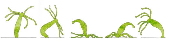 Kraken 2krn